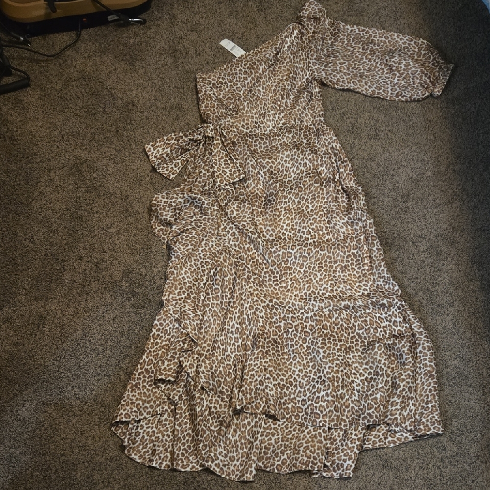 J. Crew Factory Leopard Print Long Sleeve Dress